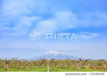 Aomori Prefecture Tsunagichi apple field and Iwakiyama 22399459