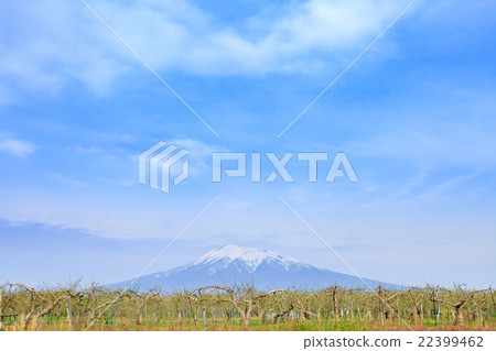 Aomori Prefecture Tsunagichi apple field and Iwakiyama 22399462