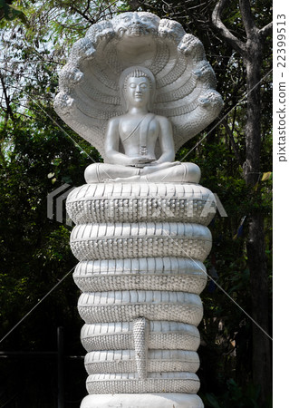 Buddha Metta meditation in nature 22399513