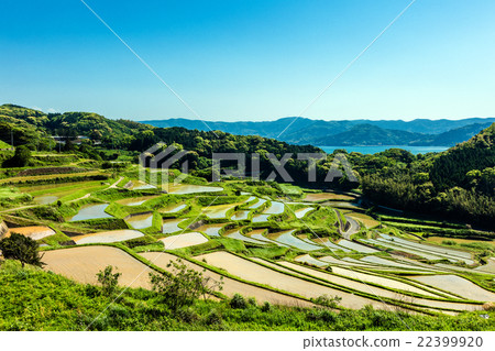 Rice terraces of Tsuchiya 22399920