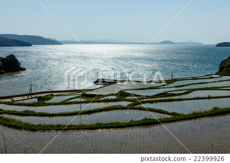 Rice terraces of Tsuchiya 22399926