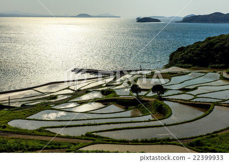 Rice terraces of Tsuchiya 22399933