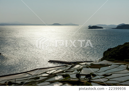 Rice terraces of Tsuchiya 22399936