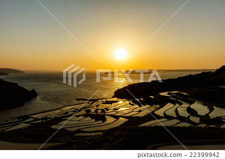 Rice terraces of Tsuchiya Rice terraces of Tsuchiya 22399942