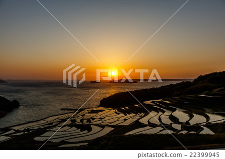 Rice terraces of Tsuchiya 22399945