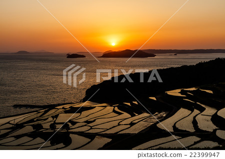 Rice terraces of Tsuchiya 22399947