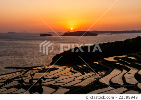 Rice terraces of Tsuchiya 22399949