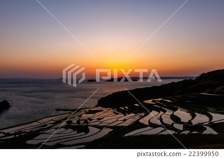 Rice terraces of Tsuchiya Rice terraces of Tsuchiya 22399950