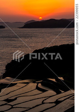 Rice terraces of Tsuchiya 22399955