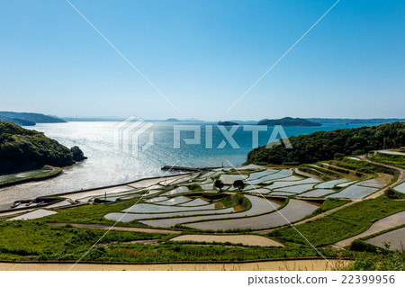 Rice terraces of Tsuchiya 22399956