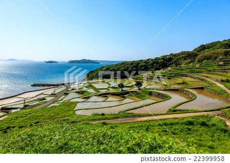 Rice terraces of Tsuchiya Rice terraces of Tsuchiya 22399958