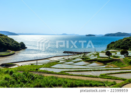 Rice terraces of Tsuchiya 22399959