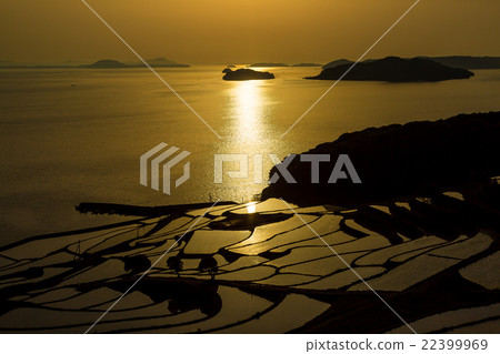 Rice terraces of Tsuchiya Rice terraces of Tsuchiya 22399969