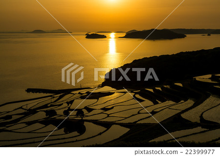 Rice terraces of Tsuchiya 22399977