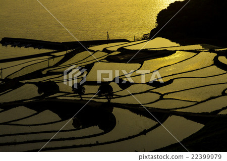 Rice terraces of Tsuchiya 22399979