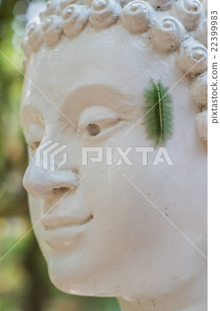 Meditation and slugs 22399983