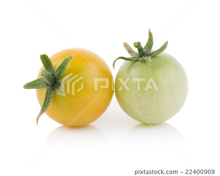 tomato on white background tomato on white background 22400909