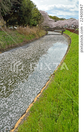 Meanuma稻田：Imanuma替代水東緣Midori Tadashi Midori ku 22400947