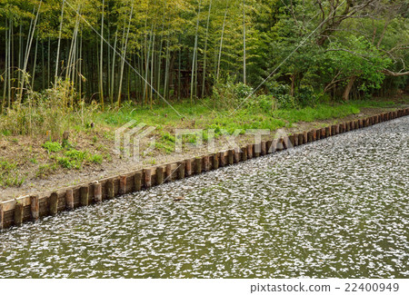 Meanuma paddy: Imanuma substitute water Eastern margin Midori Tadashi Midori ku 22400949