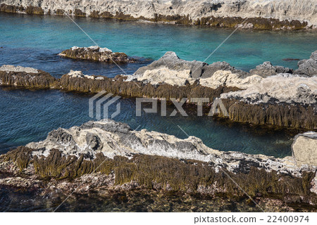 Jogashima Jogashima 22400974