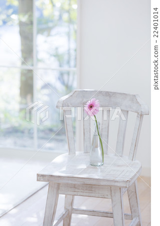 一把輪非洲菊裝飾在椅子上 一把輪非洲菊裝飾在椅子上 22401014