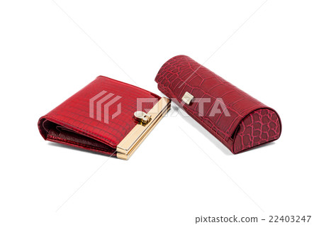 Purse and spectacle-case 22403247