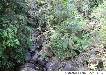 Sinharaja Forest Reserve 22404137