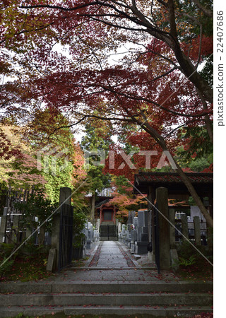 東福寺塔的最高勝利修道院 東福寺塔的最高勝利修道院 22407686