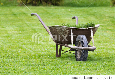 Old wheelbarrow on a lawn with fresh grass 22407718