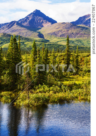 Mountains in Alaska 22407867