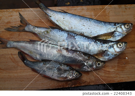 raw fish on a cutting table raw fish on a cutting table 22408343