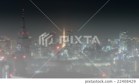 Tokyo night scene, panoramic view in fog 22408429