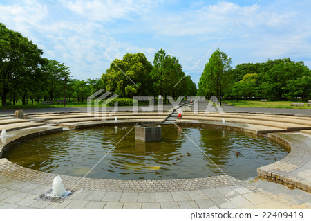 年輕人離開和新鮮的綠色Terrell公園Karugamo父母和孩子噴泉池塘 22409419