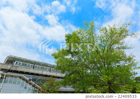 Pinchin liner arriving at fresh green and station at the young leaves of the forest of Sinsden Park 22409533
