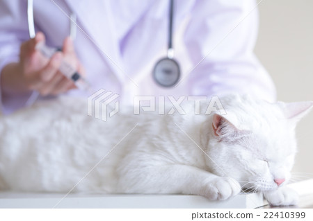 Immunization image Immunization image 22410399