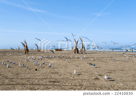 Traditional Peruvian small Reed Boats Traditional Peruvian small Reed Boats 22410830