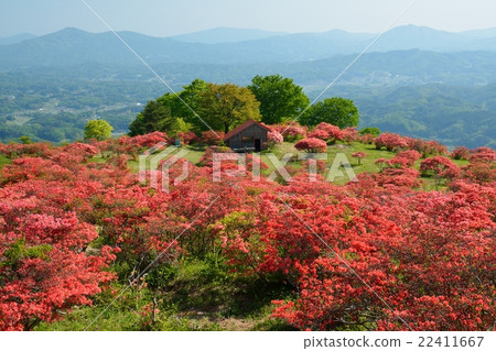 Yamato river of Takashimayama Yamato river of Takashimayama 22411667