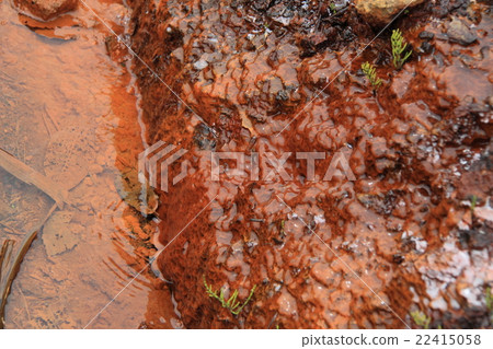Red spring water up Red spring water up 22415058