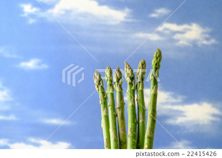 Asparagus asparagus Asparagus asparagus 22415426