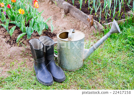 Rubber boots with watering can on grass 22417158