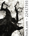 大樹  22417393