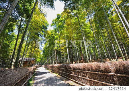 Bamboo Road 22417634