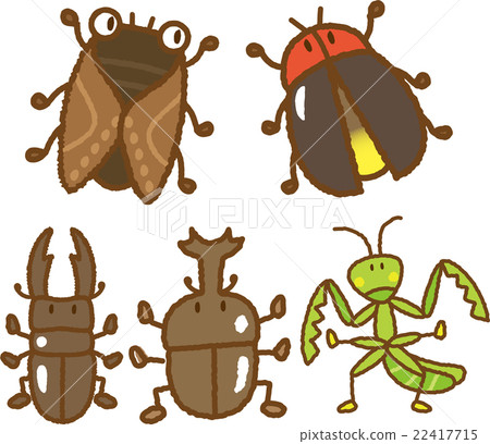 Insect illustration material set 22417715