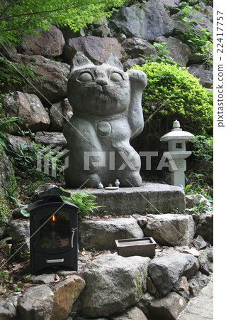 Tokushima Prefecture Anan City Kamo-cho Oomatsu Universe Tokushima Prefecture Anan City Kamo-cho Oomatsu Universe 22417757