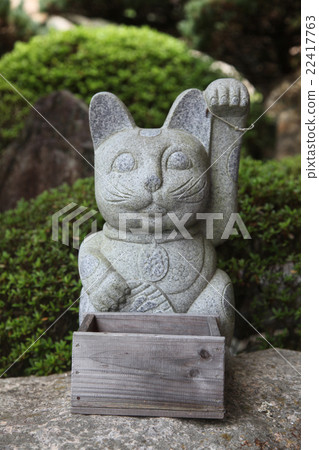 Tokushima Prefecture Anan City Kamo-cho Oomatsu Universe Tokushima Prefecture Anan City Kamo-cho Oomatsu Universe 22417763
