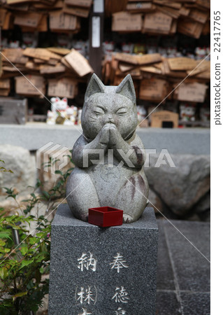 Tokushima Prefecture Anan City Kamo-cho Oomatsu Universe Tokushima Prefecture Anan City Kamo-cho Oomatsu Universe 22417765