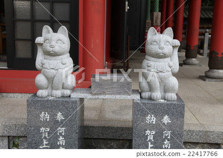 Tokushima Prefecture Anan City Kamo-cho Oomatsu Universe Tokushima Prefecture Anan City Kamo-cho Oomatsu Universe 22417766