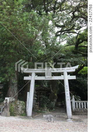 德島縣Anan City Kamo-cho Oomatsu Universe 22417768