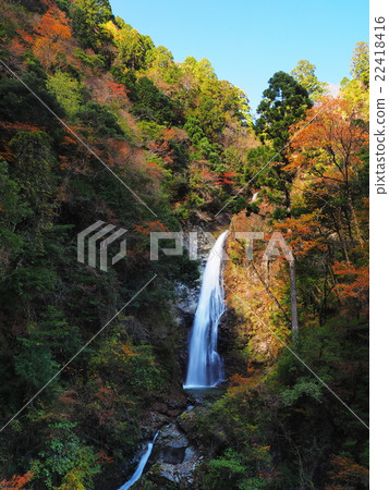 Autumnal immobile waterfall of autumn leaves Autumnal immobile waterfall of autumn leaves 22418416