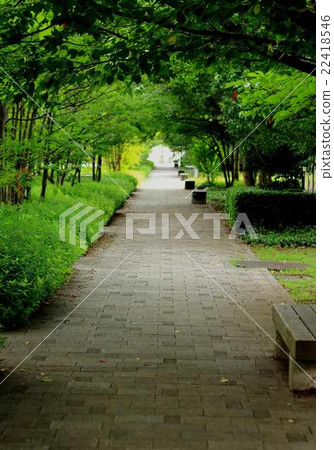 一條路 22418546